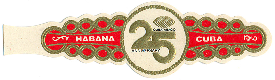 25 Aniversario Band